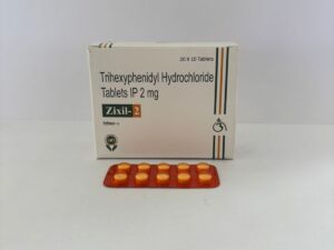 ZIXIL-2